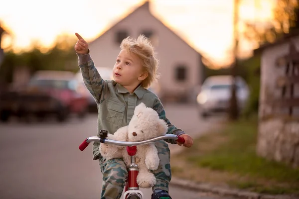 幼児の子供 ブロンドの男の子 テディベアと日没の村の小さな道路で三輪車に乗る — ストック写真