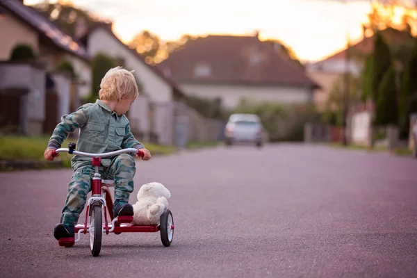 Småbarn Blond Pojke Ridning Trehjuling Liten Väg Solnedgången Med Nalle — Stockfoto