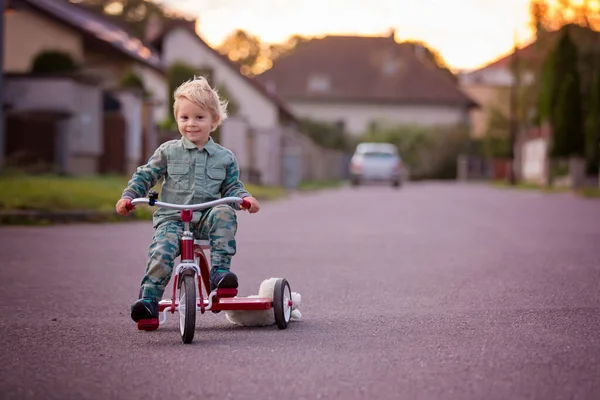 Kleinkind Blonder Junge Dreiradfahren Einer Dorfstraße Bei Sonnenuntergang Mit Teddybär — Stockfoto