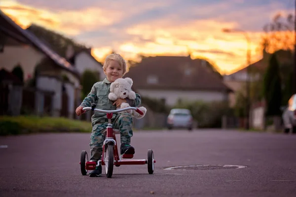 Kleinkind Blonder Junge Dreiradfahren Einer Dorfstraße Bei Sonnenuntergang Mit Teddybär — Stockfoto