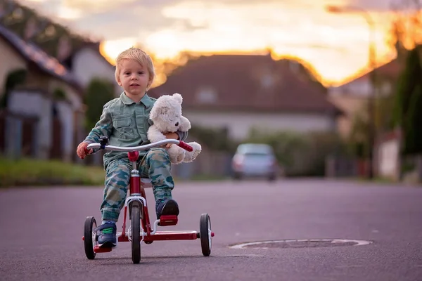 Kleinkind Blonder Junge Dreiradfahren Einer Dorfstraße Bei Sonnenuntergang Mit Teddybär — Stockfoto