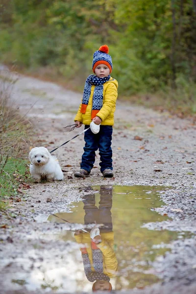 Nettes Kleinkind Mit Gelber Jacke Und Süßem Malteserhund Läuft Herbstpark — Stockfoto