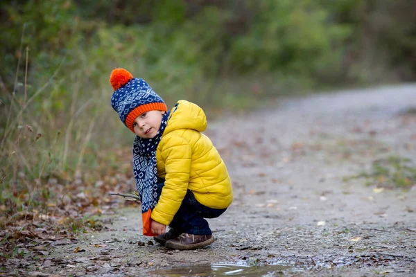 Lindo Niño Pequeño Con Chaqueta Amarilla Corriendo Parque Otoño Jugando — Foto de Stock