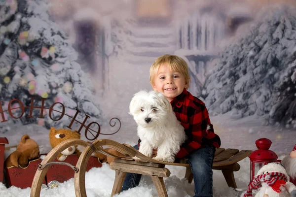 Menino Bonito Com Outit Inverno Cachorro Maltês Branco Doce Brincando — Fotografia de Stock