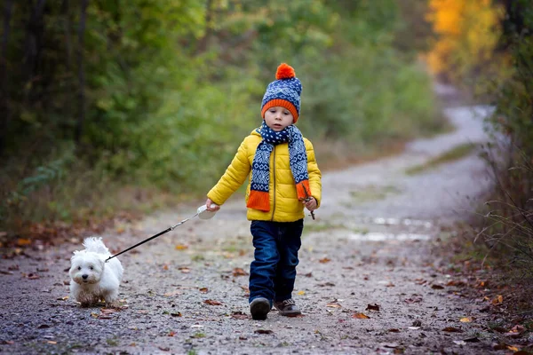 Cute Toddler Child Yellow Jacket Sweet Maltese Puppy Dog Running — Stock Photo, Image