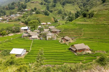 Çocuklu aile, tatlı sarışın çocuk, güneşli bir günde Sapa pirinç tarlalarını ziyaret eden.