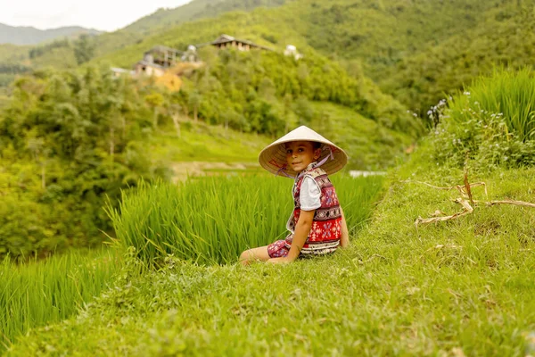 Çocuklu aile, tatlı sarışın çocuk, güneşli bir günde Sapa pirinç tarlalarını ziyaret eden.