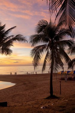 Da Nang, Vietnam sahilinde güzel bir gün doğumu. Tropik bir ülkede kumsalda hindistan cevizi palmiyeleri