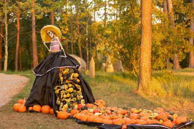 Çek Cumhuriyeti 'nde gün batımında bahçede balkabağı sergisi