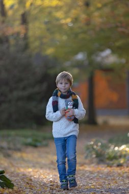 Muhteşem sarışın çocuk, tatlı çocuk, Prag 'daki Botanik Bahçesi' nde güneşli bir günün keyfini çıkarıyor, Cadılar Bayramı 'nda balkabakları sergisi, sonbahar zamanı