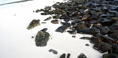 Berrak beyaz kumlu plajda güzel siyah kayalar ile Tropikal manzara 