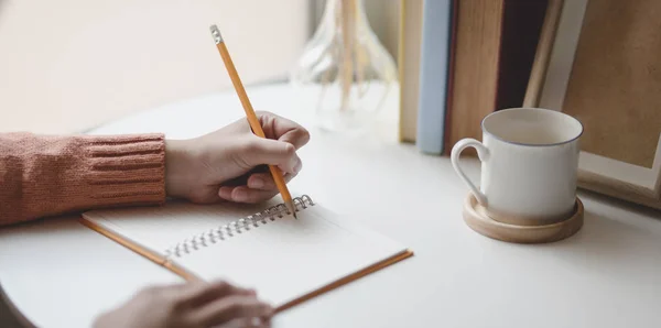 Detailní záběr mladé ženy, jak píše svůj nápad na notebook při práci na svém projektu v pohodlném pokoji — Stock fotografie