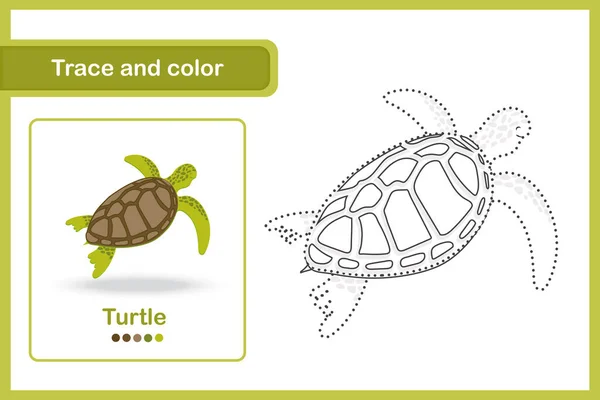 Ritning Och Ordförråd Kalkylblad För Förskolebarn Trace Och Färg Sköldpadda — Stock vektor
