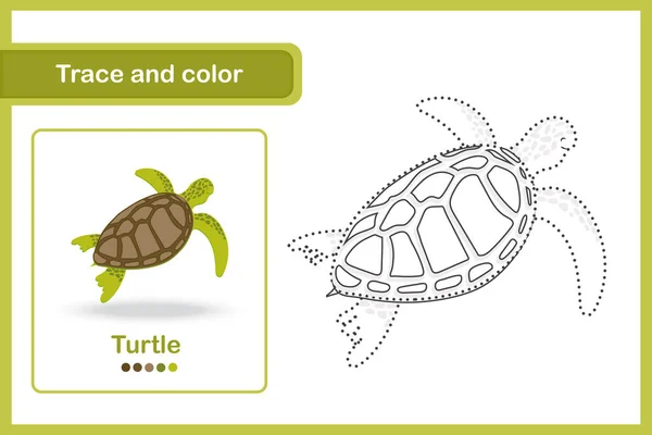 Desenho Planilha Vocabulário Para Pré Escolares Rastreio Cor Tartaruga —  Vetores de Stock
