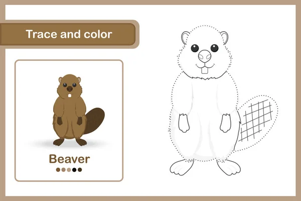 Drawing Worksheet Preschool Kids Trace Colour Beaver — Stock Vector