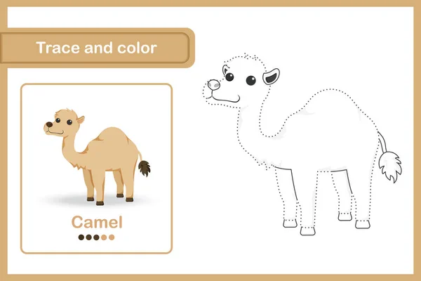 Drawing Worksheet Preschool Kids Trace Colour Camel — Stock Vector