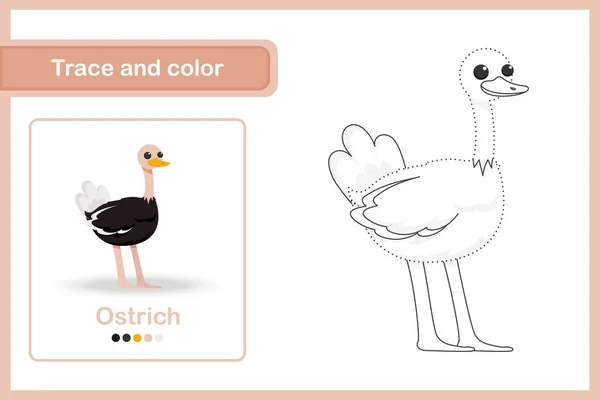 Hoja Trabajo Dibujo Para Niños Edad Preescolar Trazo Color Avestruz — Vector de stock