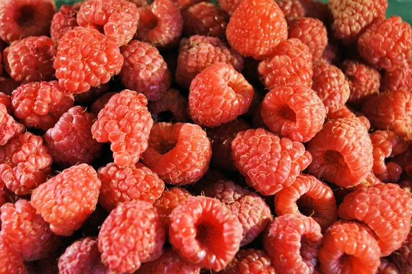 Raspberry Makanan Organik Yang Segar — Stok Foto