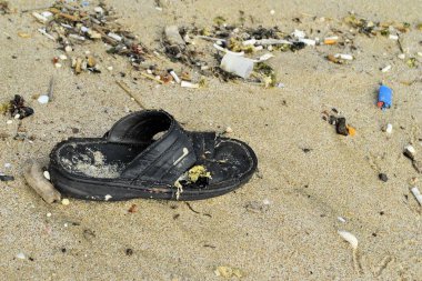 Modern insan homo sapiens tatil davranışı açık doğa sentetik çöp 