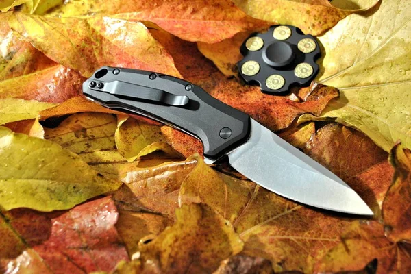 Pocket folding knife stainless blade black handle autumn leaf fall nature background