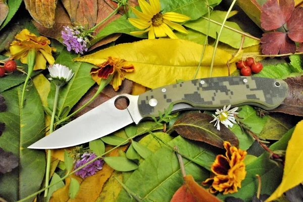 사용하는 스테인리스강 칼날을 나뭇잎 — 스톡 사진