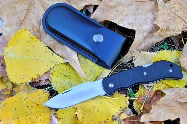 Folding Knife Stainless Steel Blade Black Leather Pouch Military Weapon — 스톡 사진