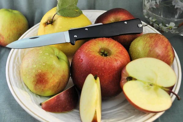 Folding knife stainless steel blade and fresh organic ripe apples quince natural gourmet product dessert