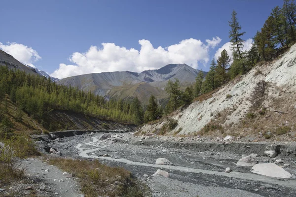 Altay Cumhuriyeti'ndeki Yarlu Nehri Vadisi