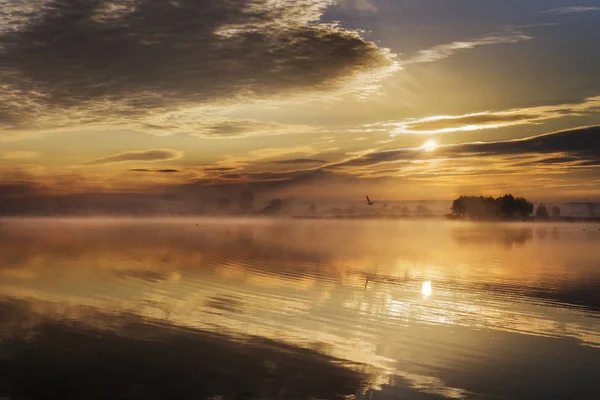 Goldener Sonnenaufgang Über Dem See — Stockfoto