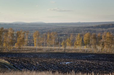 Ekili tarım alanlarının çizgili dokusu