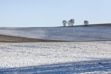 Ekili tarım alanlarının çizgili dokusu