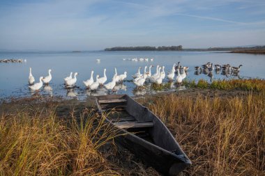 Şafakta gölde tekneler.