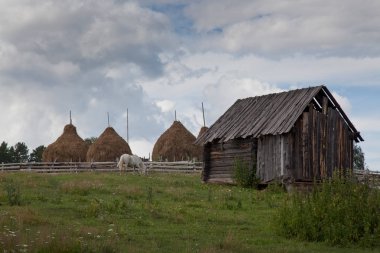 Atlar ve taylar Bashkortostan 'da bir dağ köyünün arka planında.