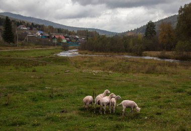A village among the mountains in Bashkortostan