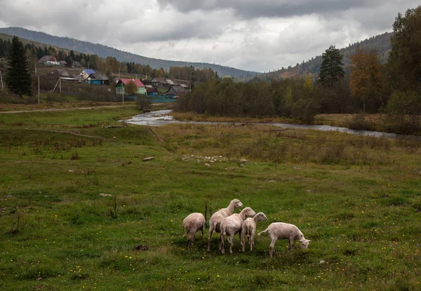 Village Mountains Bashkortostan — Zdjęcie stockowe