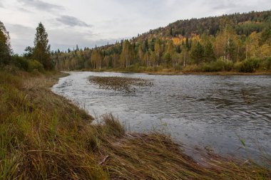 Bashkortostan 'daki Urallar' daki dağ nehri.
