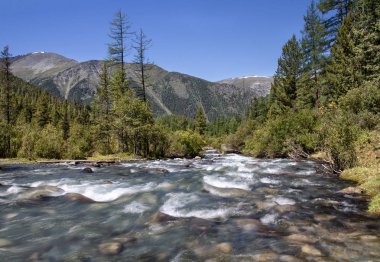Hızlı, Altai dağlarındaki dağ nehri.