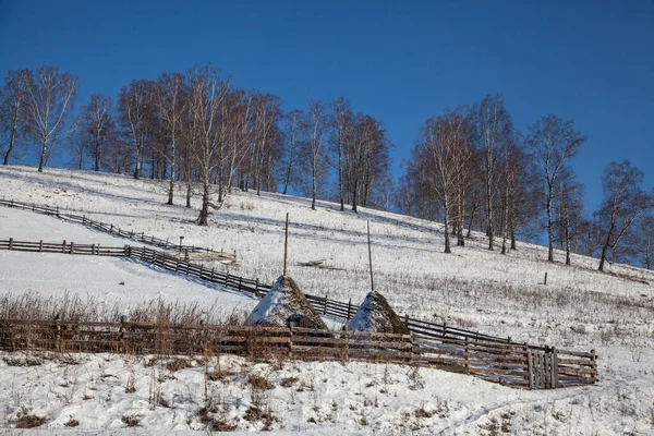 Paisagem Inverno Com Palheiros Encosta Cercas Árvores Raras — Fotografia de Stock