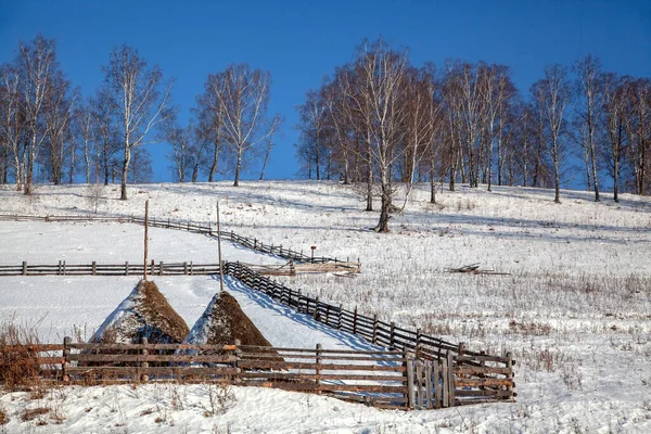 Paisagem Inverno Com Palheiros Encosta Cercas Árvores Raras — Fotografia de Stock