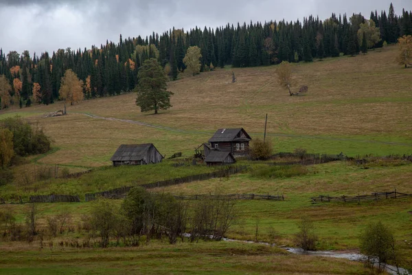 秋の色 バシコルトスタンの山の中で黄金の秋 山村集落 — ストック写真