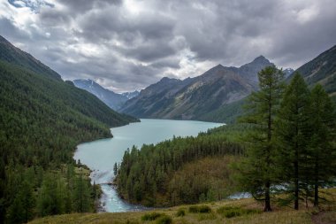 Fırtınalı, Altai 'deki dağ nehri, dağ zirvelerinin arka planında, kıyılar boyunca yoğun bitki örtüsü ile.