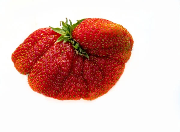 Κοντινές Κόκκινες Φράουλες Ασυνήθιστου Σχήματος Λευκό Φόντο — Φωτογραφία Αρχείου