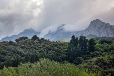 Pireneler 'in dağlarında. Yaz günü, bulutsuzluk. Yamaçlarda ağaçlar.