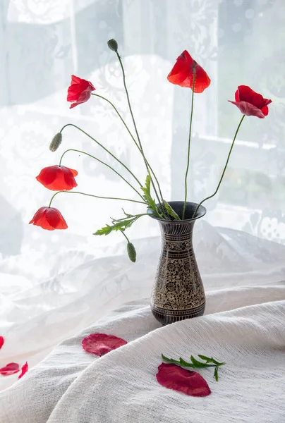 Bouquet Coquelicots Dans Vase Sur Fond Rideaux Transparents Recouvrant Fenêtre — Photo