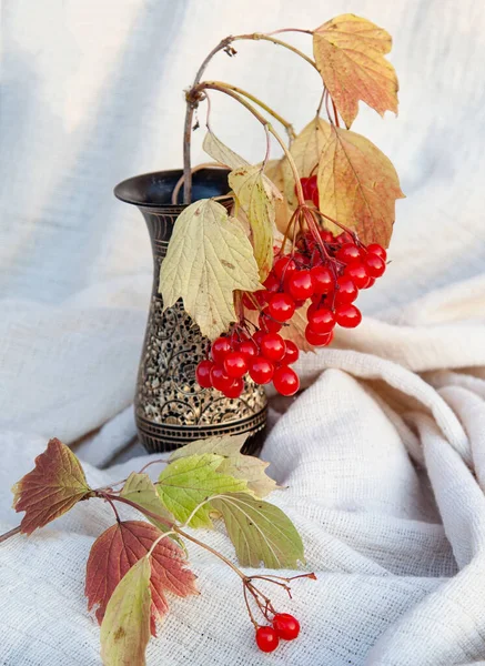 Sprig Viburnum Ripe Berries Vase White Background — Stock Photo, Image