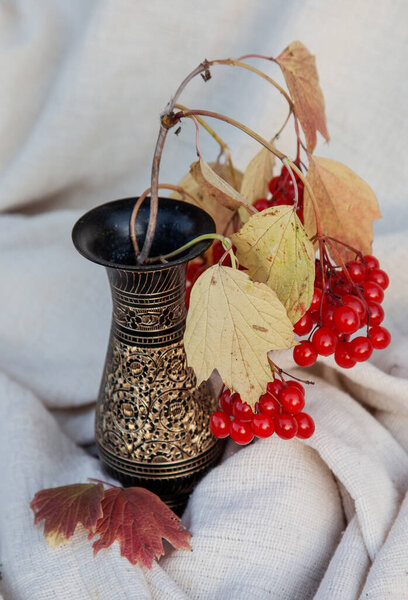 Sprig of viburnum with ripe berries in a vase on a white background.
