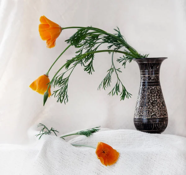 Bouquet Fleurs Jaunes Dans Vase Sur Fond Blanc — Photo