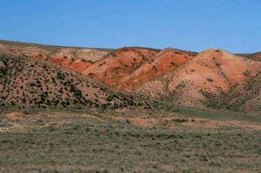 Kazakistan 'ın kil tebeşirli tepeleri seyrek bitki örtüsüyle.