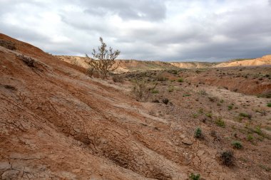 Kazakistan 'ın kil tebeşirli tepeleri seyrek bitki örtüsüyle.