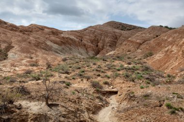 Kazakistan 'ın kil tebeşirli tepeleri seyrek bitki örtüsüyle.